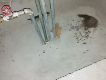 潢川卫生间测漏水价格明细